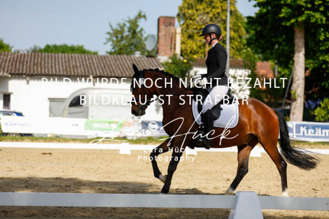 _62_2652 | larahueckfotografie