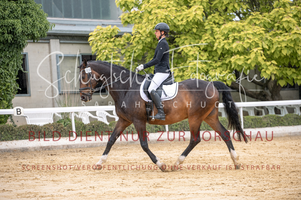 Schugtsche-Aluta25-41.Amat-Dressurprf.A_-213 | Schugtsche Fotografie - Realisiert mit Pictrs.com