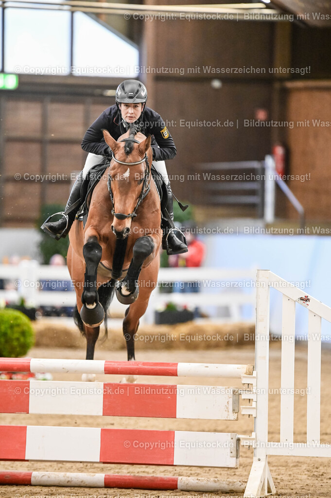 20260307_Hengstvorstellung-Marbach_0021 | equistock