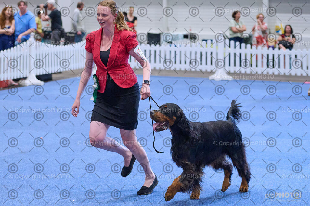 202406_ÖKV-IHA-Tulln24_DSC_4145 | proPHOTO - Realisiert mit Pictrs.com