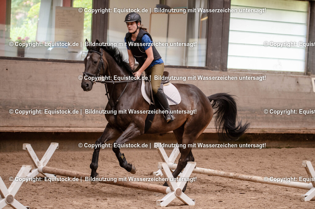 20250725_Vielseitigkeitslehrgang-Marbach_0027 | Foto: Thomas Hartig