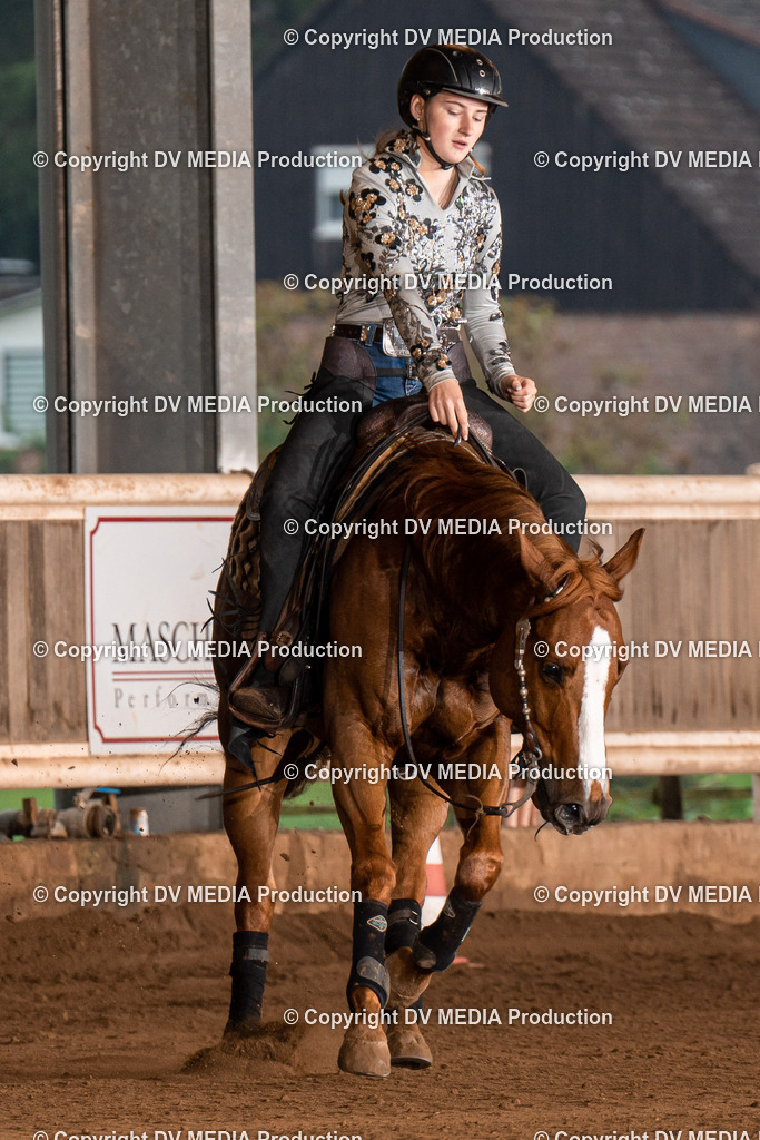 Erbach Tag 3-862 | dv-media-shop - Realisiert mit Pictrs.com