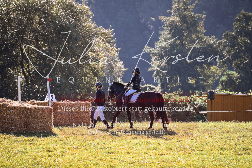DSC_0366 | Pferde- und Turnierfotografie in Westsachsen. Pferdeportraits, Auftragszeichnungen und intuitive Kunst.