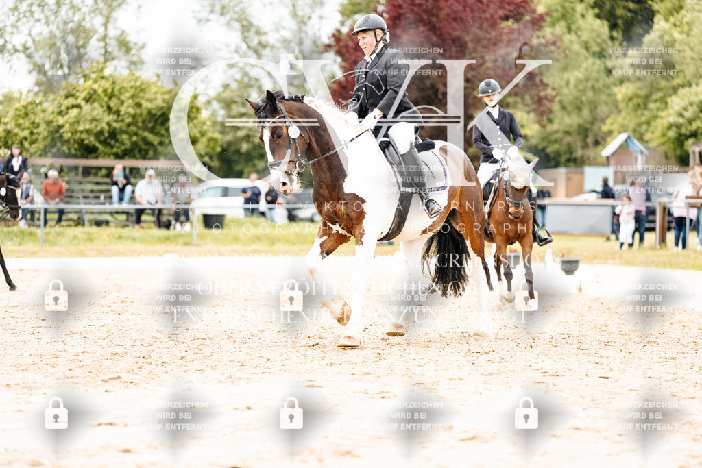CK903621 | Turnierfotografie Pferdefotografie Trier Rheinland-Pfalz Pferdesport Reitsport Tierfotografie Sportfotografie Pferdevideo Pferdevideografie Equestrianvideography equestrianphotography  - Realisiert mit Pictrs.com