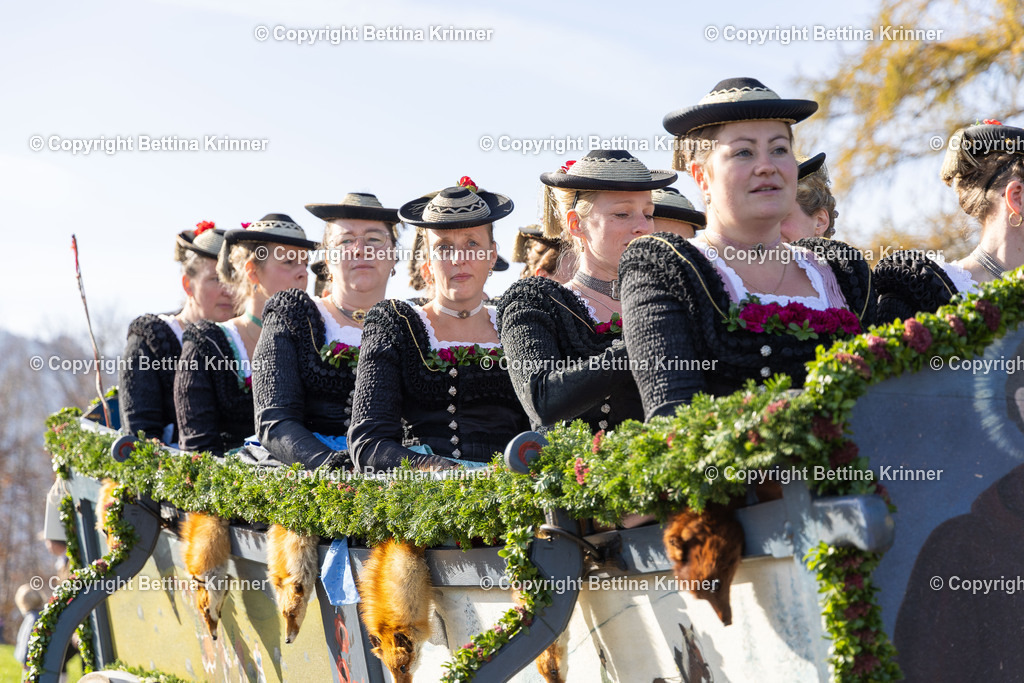 LBT24-1169 | foto-bettina-krinner - Realisiert mit Pictrs.com