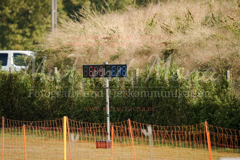 20250928_Hunderennen-326 | MuT (Mensch und Tier) mit Mona - Fotografie und Tierkommunikation - Realisiert mit Pictrs.com