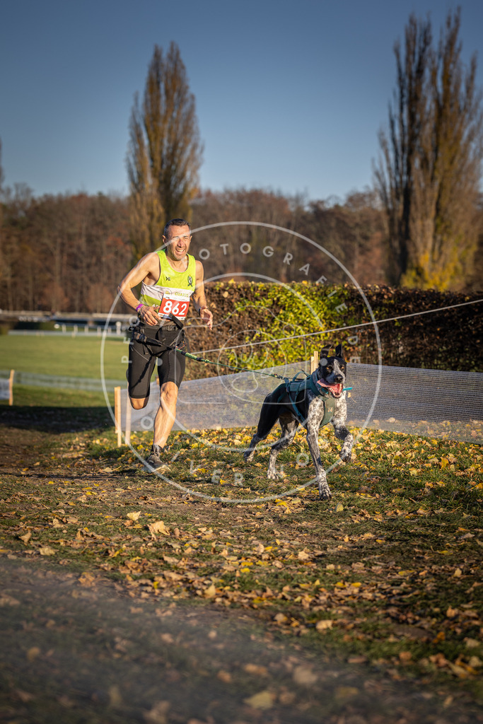 CaniXpix_DV3A4068 | Hundefotografie, Tierfotograf, Pfotenfotografie, Fotoshooting Hund, Hunde Portrait, Hundesport, Hundeportraits, Heideshooting, Hunde, Sportfotograf, Hundefotograf, Turnierhundsport, THS,  - Realisiert mit Pictrs.com