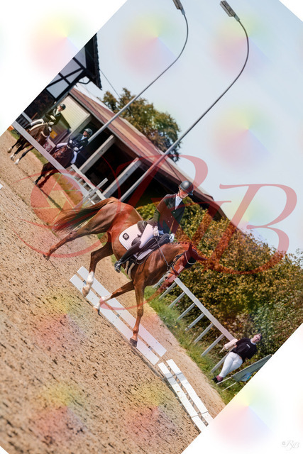 2026_10_03_Siefer-Hof_132950_Z63_91593383 | Professionelle Reitsport-, Turnier- und Eventfotografie von Robert Broda. Galerien mit ausgewählten und bearbeiteten Bildern direkt online ansehen und bestellen.