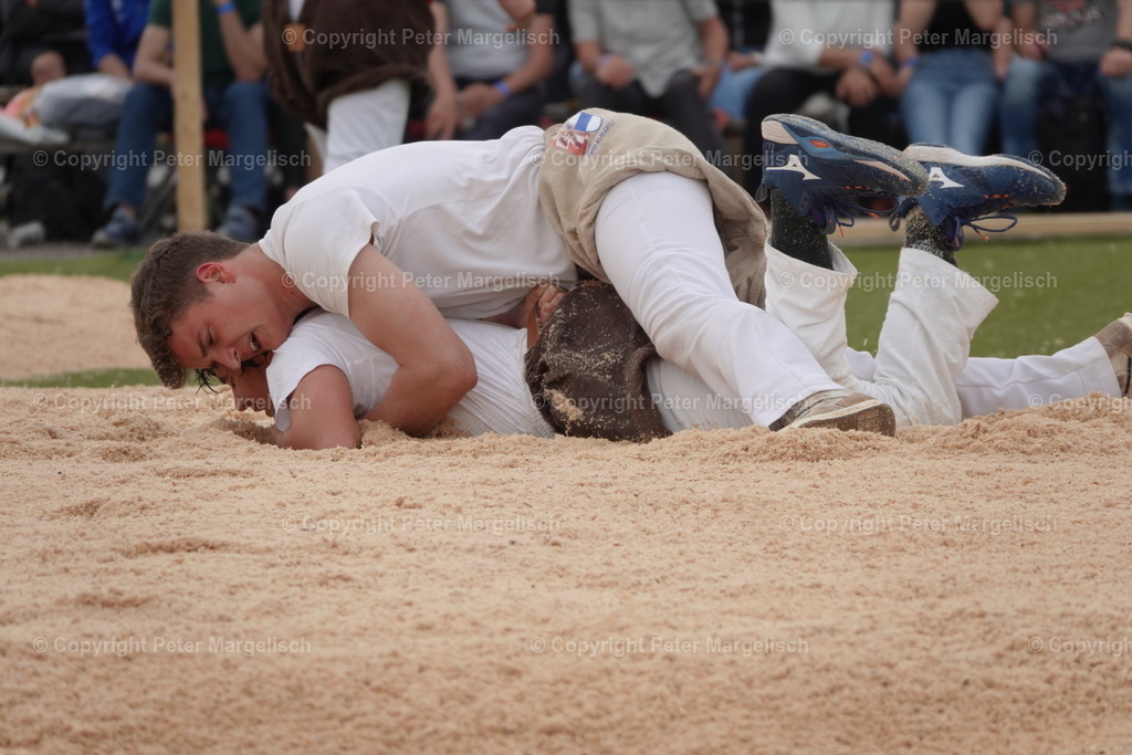 DSC03659 | Schwingen - Realisiert mit Pictrs.com