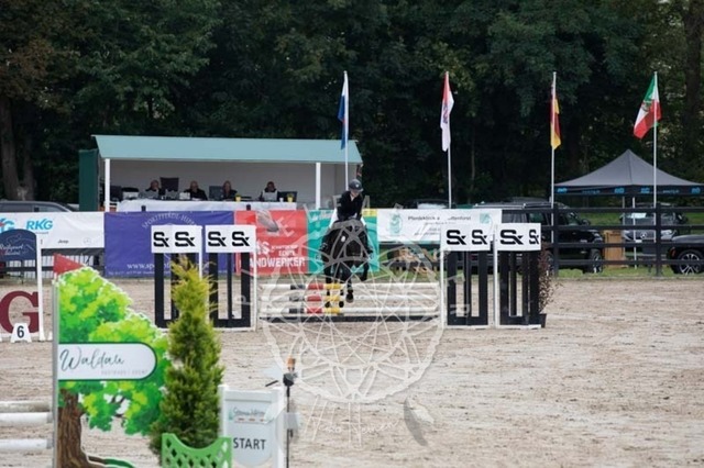 2B4A2295 | pixelfaenger - Realisiert mit Pictrs.com