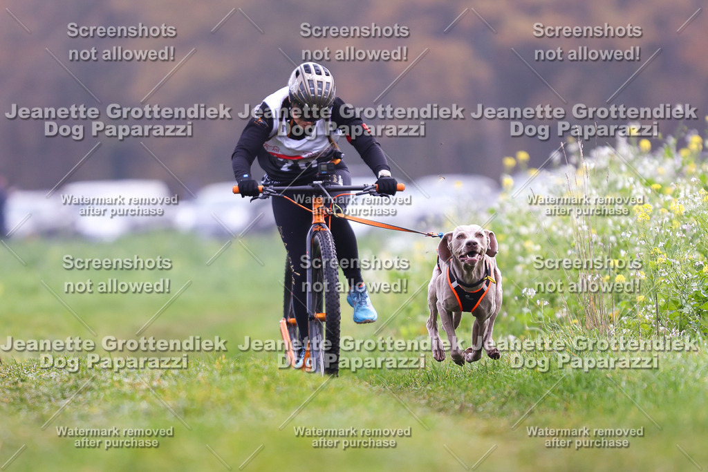 Dog Paparazzi - Visbeck 25 -284 | Dog Paparazzi Jeanette Grottendiek Fotografie & Videografie - Realisiert mit Pictrs.com