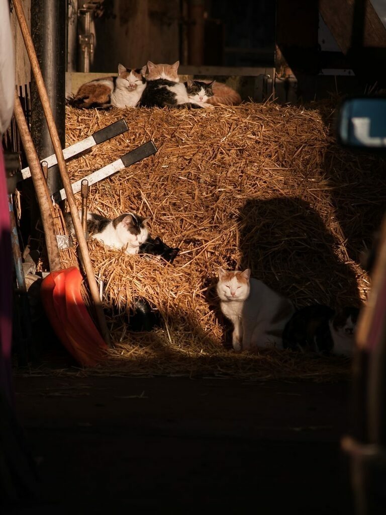 PSX_20221120_230711 | mtkfoto_ - Realisiert mit Pictrs.com