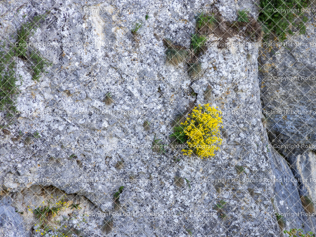 Im-Donautal-44 | IPTC Infos - Realisiert mit Pictrs.com