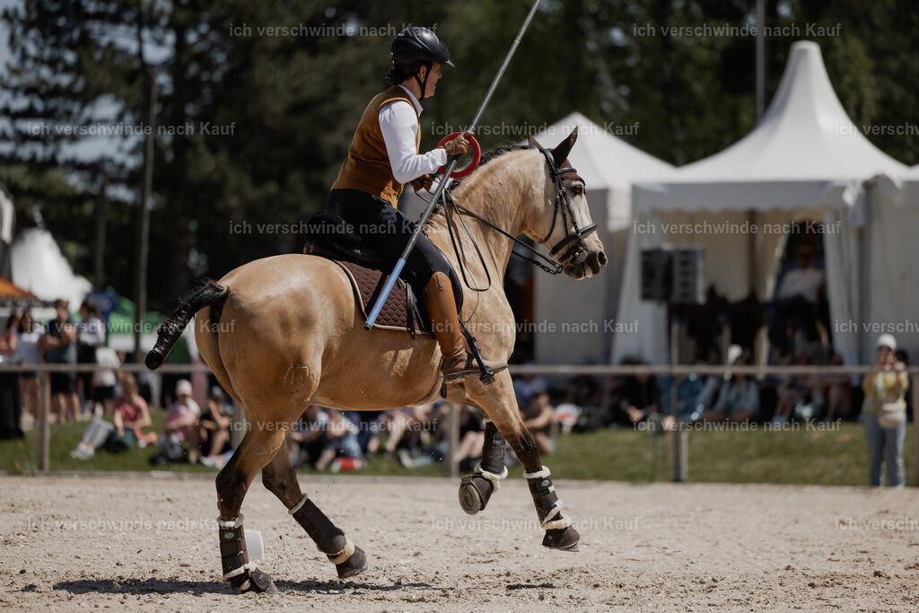 WE_SP_Stoib_334_PI2025_1807 | Pferd International München 2025