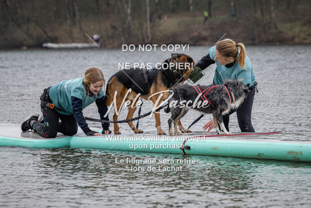 nelerasche_Hulsbeek_Sa1330-1430_145 | nelerasche