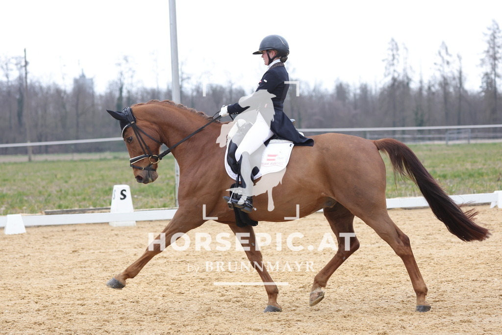 0P6A4992 | Willkommen bei Brunnmayr - Design & Fotografie – Ihrem Spezialisten für Reitturniere und Pferdeveranstaltungen in Oberösterreich, Salzburg und Bayern! Seit über 17 Jahren sind wir leidenschaftlich dabei.