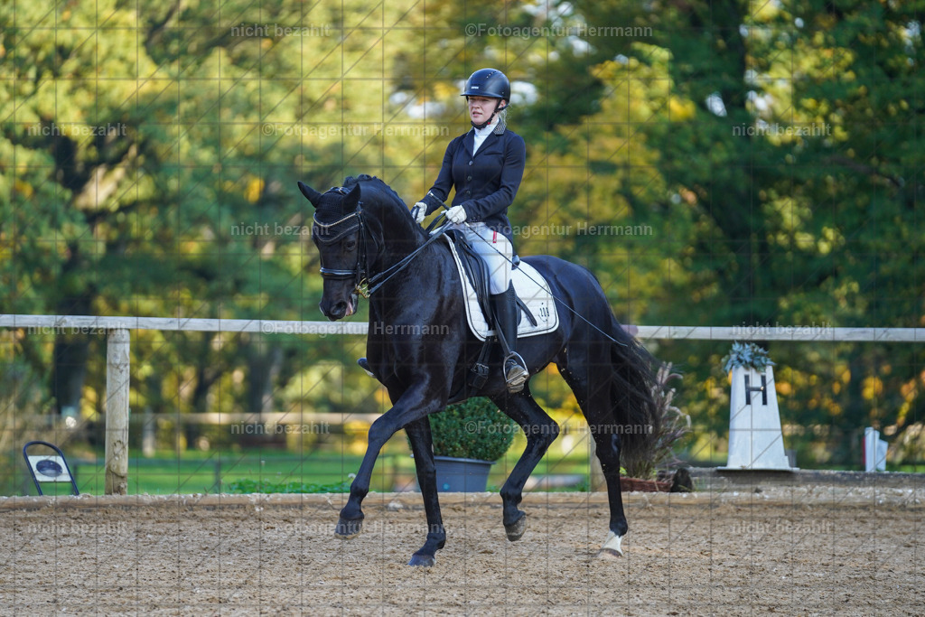 20221007-FAH00258 | Diessen am Ammersee, 2022, Dressur- und Springturnier, Reitsportbilder, Turnierfotografen Bayern, Pferdefotografen, Fotoagentur Herrmann, Turnierbilder