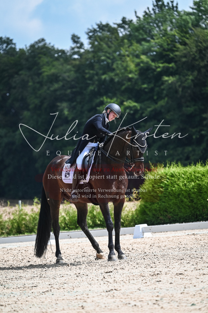 DSC_2344 | Pferde- und Turnierfotografie in Westsachsen. Pferdeportraits, Auftragszeichnungen und intuitive Kunst.