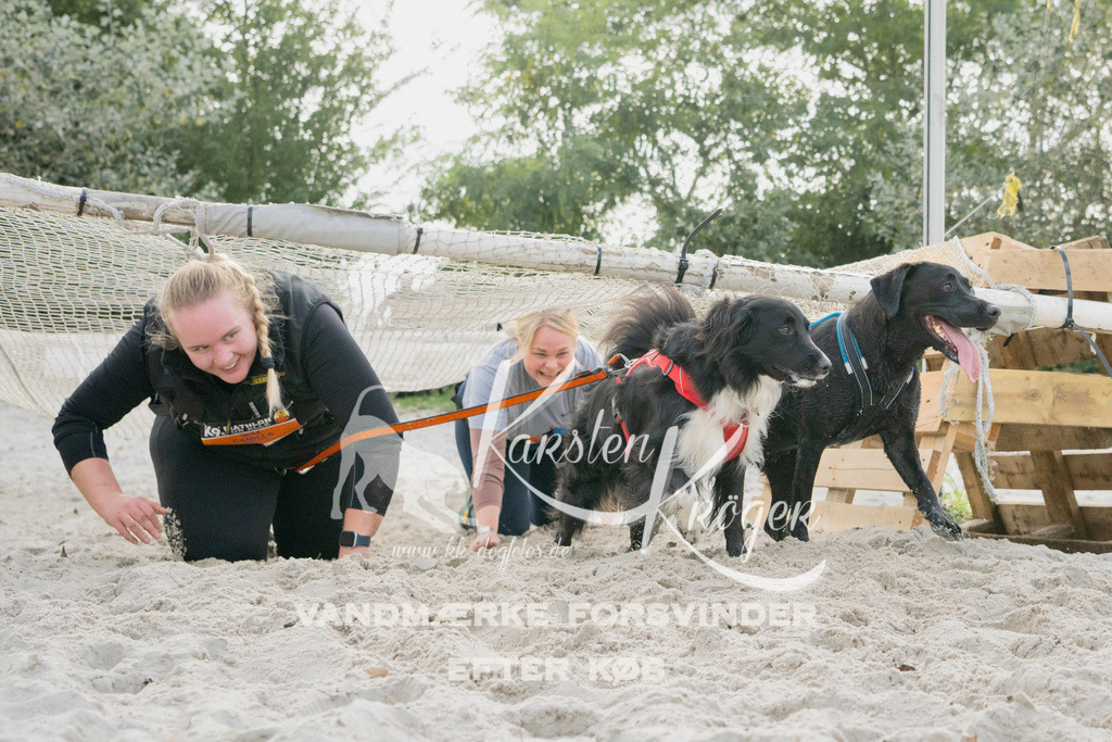 1325_ZZ96708 | kk-dogfotos