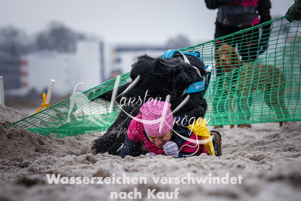 1219_ZZ93423 | kk-dogfotos