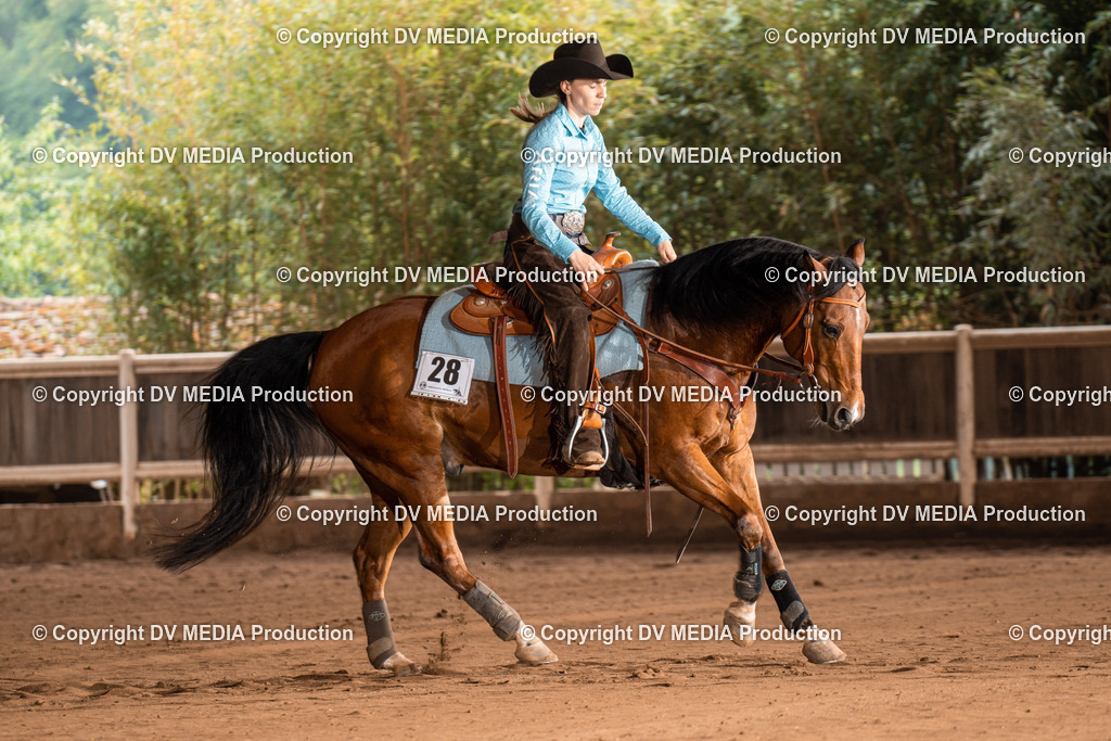 Erbach Tag 2-718 | dv-media-shop - Realisiert mit Pictrs.com