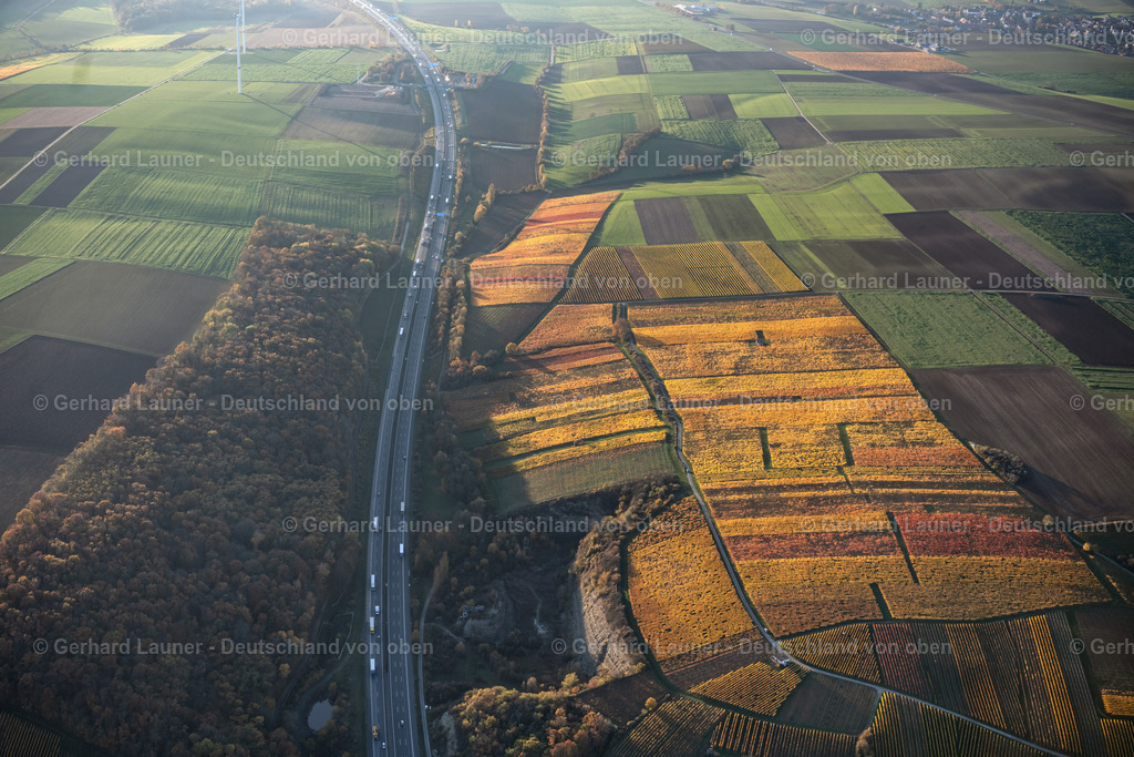4042902 | Weinberge bei Mainstockheim, Weinlage Berg-Rondell