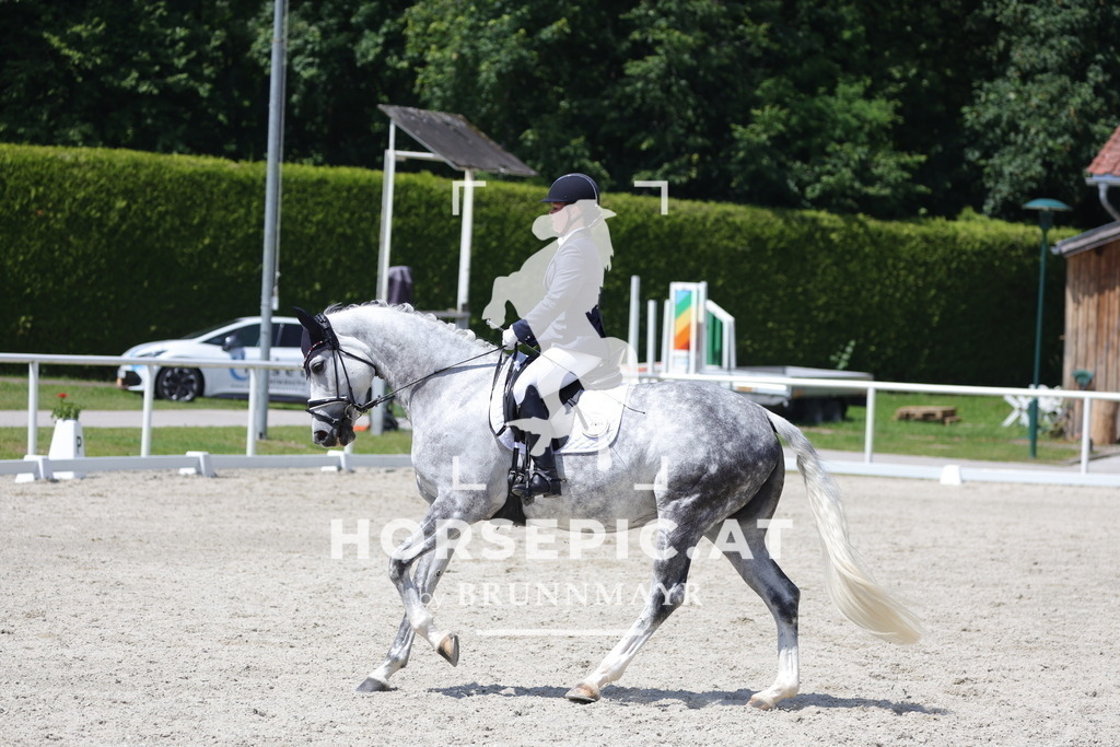 0P6A5311 | Willkommen bei Brunnmayr - Design & Fotografie – Ihrem Spezialisten für Reitturniere und Pferdeveranstaltungen in Oberösterreich, Salzburg und Bayern! Seit über 17 Jahren sind wir leidenschaftlich dabei.