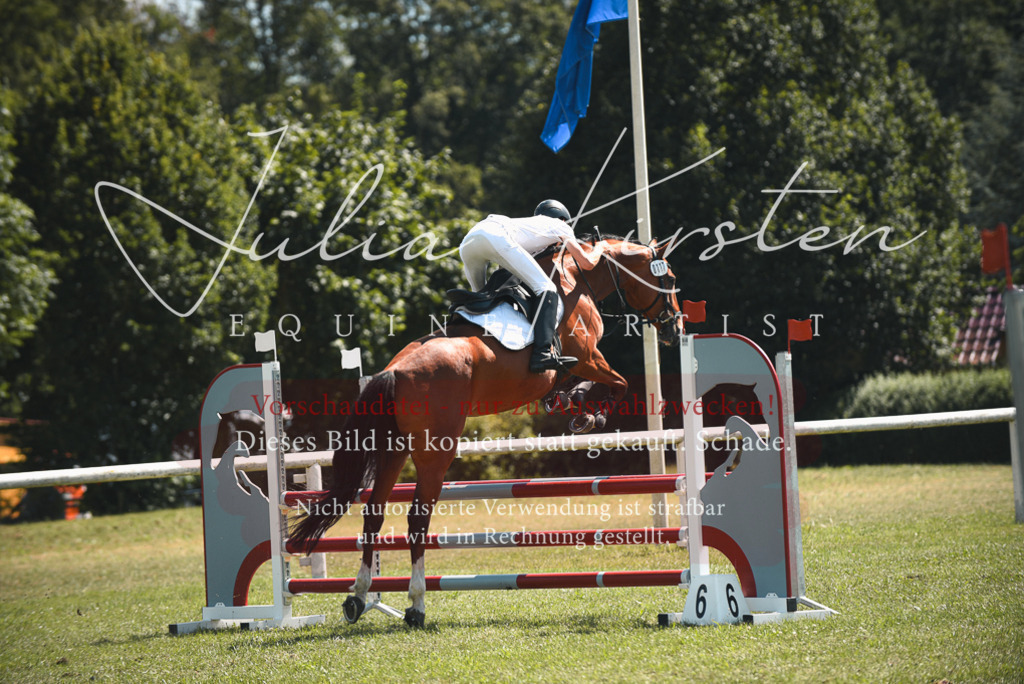 DSC_6579 | Pferde- und Turnierfotografie in Westsachsen. Pferdeportraits, Auftragszeichnungen und intuitive Kunst.