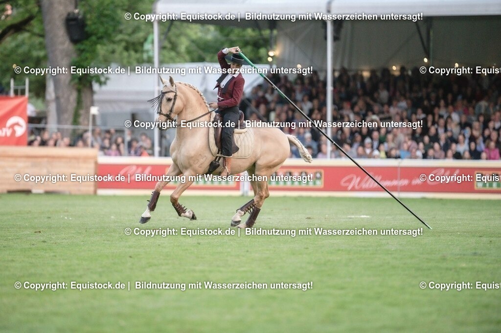 20230526_Pferdenacht_0697 | equistock