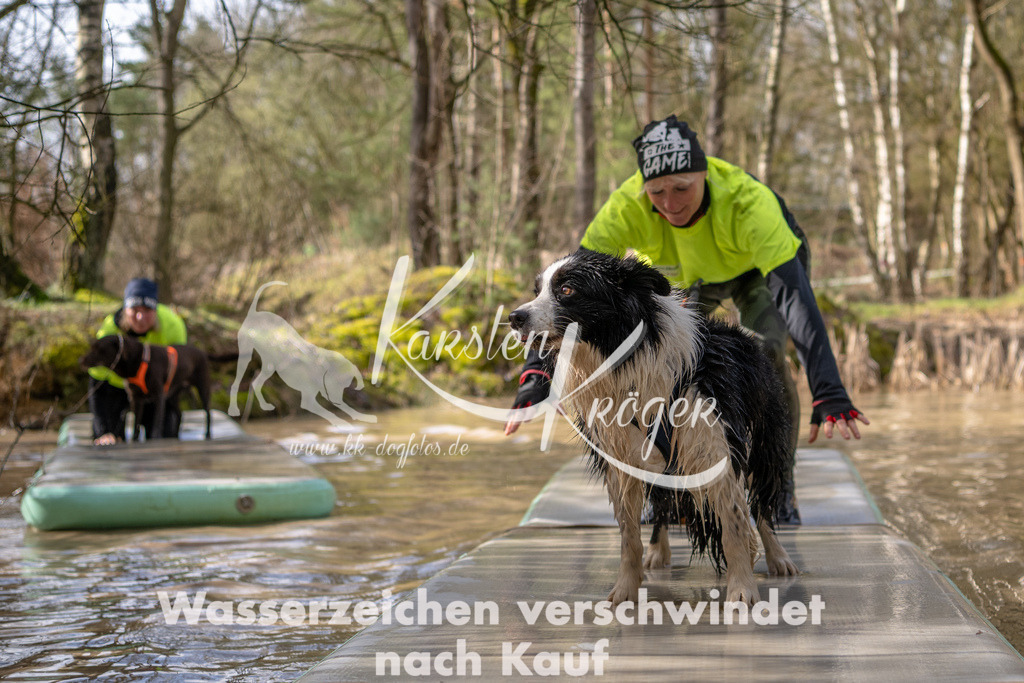 0959_ZZ92087 | kk-dogfotos