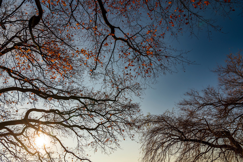 2022_12_11_HH-ALSTER_MCP6081 | Hochwertig gedruckte Fotografien für die Wand, als Kalender und zum Verschenken. Hamburg & Norddeutschland und überall wo ich mit der Kamera unterwegs war.