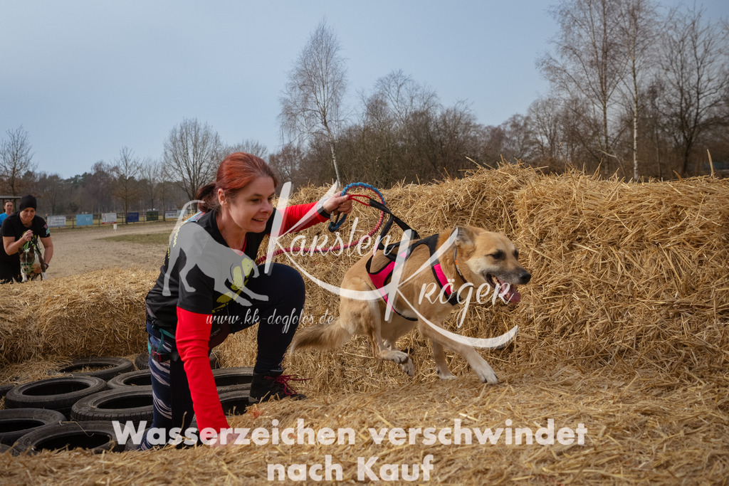 1133_ZZ94349-Bearbeitet | kk-dogfotos