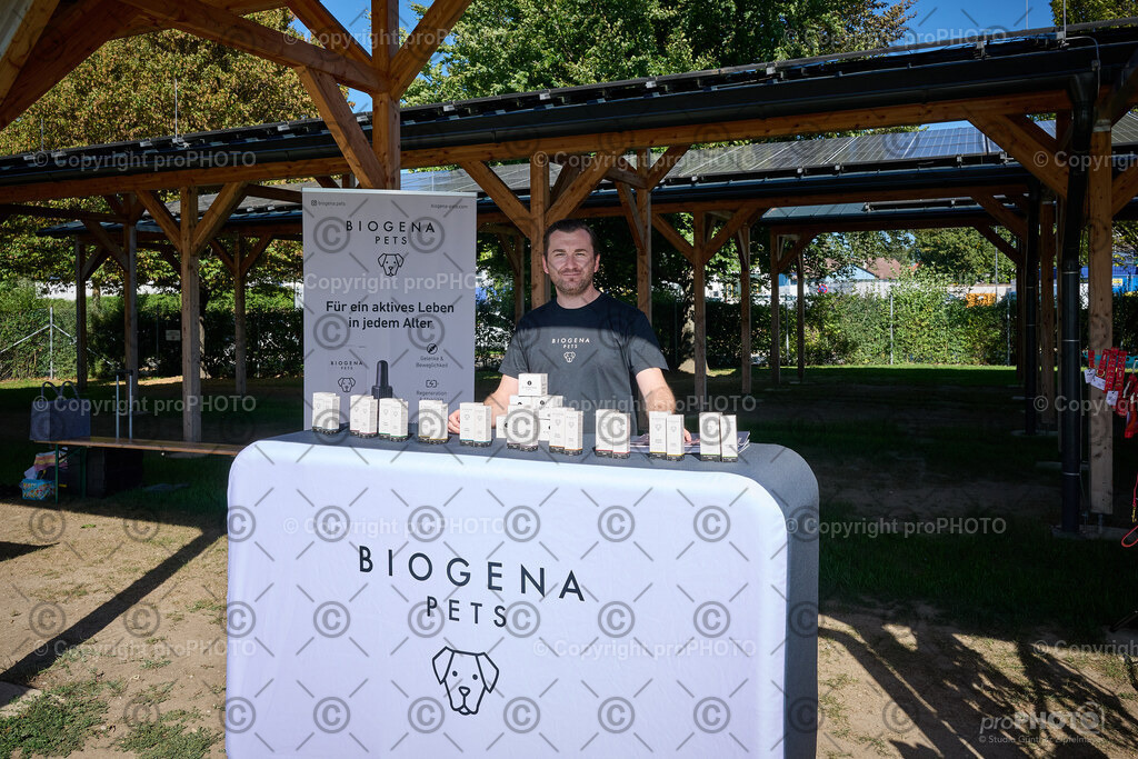 017_202509_4Hundebadetag_NZ9_2092 | proPHOTO - Realisiert mit Pictrs.com