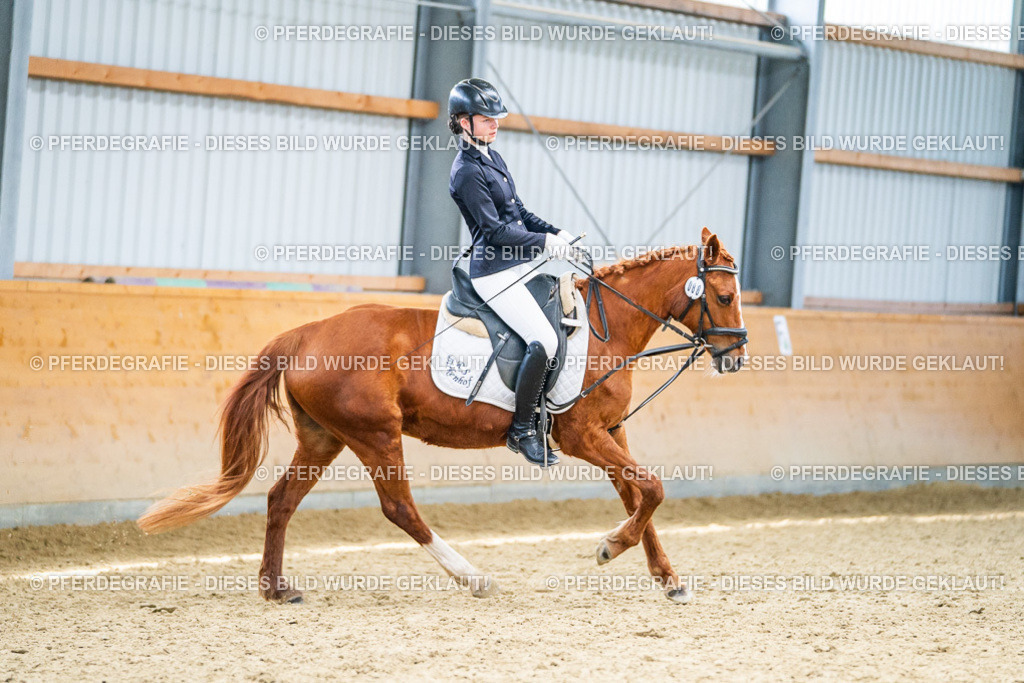 DSC04010 | Pferdegrafie