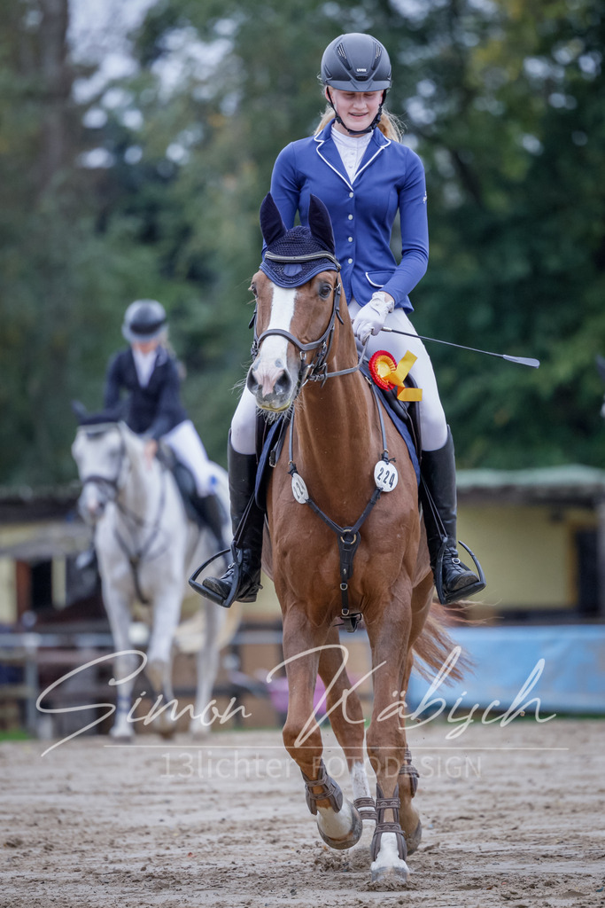 20251012-_3LI3140 | Tierfotografie Pferde, Hunde, Katzen, Haustiere.
Turnierfotografie Reitturniere, Reiten, Springreiten, Dressur in Hanau, dem Main-Kinzig-Kreis und dem Rhein-Main- Gebiet um Frankfurt