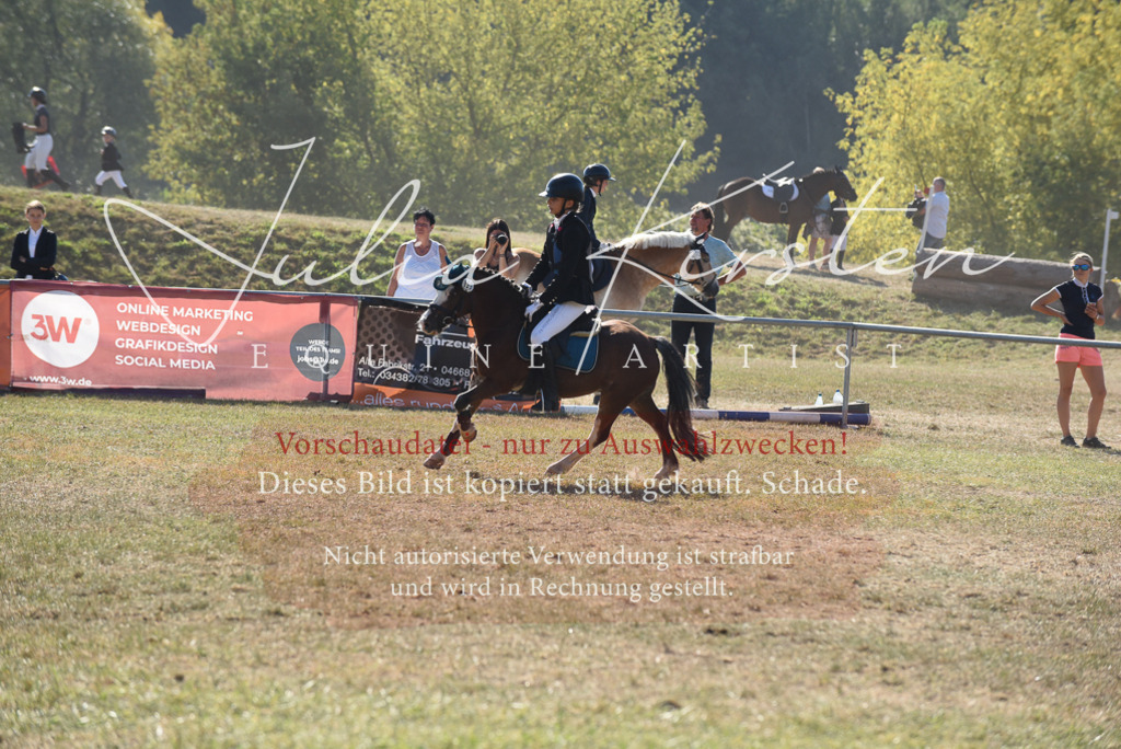 DSC_5941 | Pferde- und Turnierfotografie in Westsachsen. Pferdeportraits, Auftragszeichnungen und intuitive Kunst.