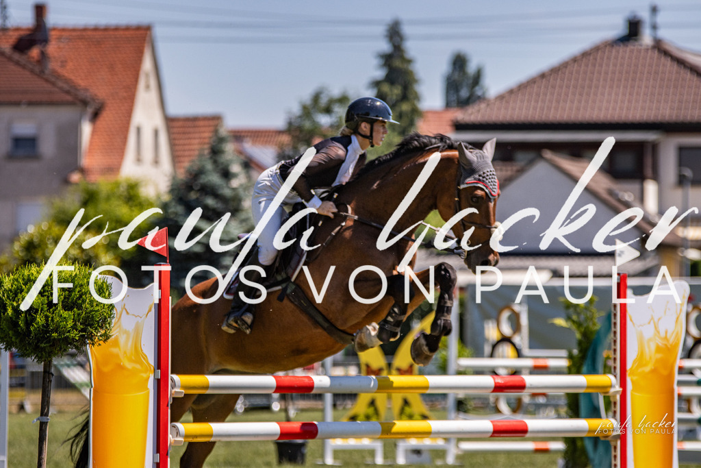 IMG_0334 | Erleben Sie dynamische Sport- und emotionale Tierfotografie in Süddeutschland mit Fotos von Paula. Spezialisiert auf Pferde- und Hundefotografie sowie Sportevents. Kontaktieren Sie mich für einzigartige und ausdrucksstarke Bilder Ihrer besonderen Momente. - Realisiert mit Pictrs.com
