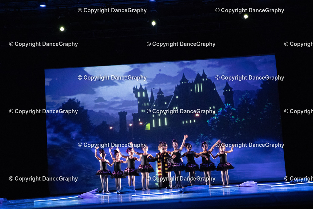 GPHY6255 | DanceGraphy - Realisiert mit Pictrs.com