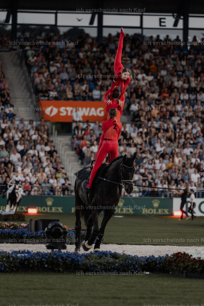 TSCHIO26_PferdundSinfonie_StoibphotographyTSCHIO26_Pferd-Sinfonie_Stoibphotography_AM11014.CR3.jpg | working equitationturnier fotograf videograf stoibphotography marixx film working equitation deutschland reitsport turnierfotografie eventfotografie equestrian events