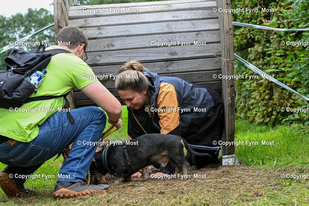 DSC_2272 | Hallo und herzlich Willkommen auf meiner Shop-Seite Fynn Most.

Ich wünsche Dir viel Spaß beim stöbern durch die Bilder, wenn Du Fragen hast oder Bilder vermisst, kannst du mir gerne eine Nachricht schreiben. - Realisiert mit Pictrs.com