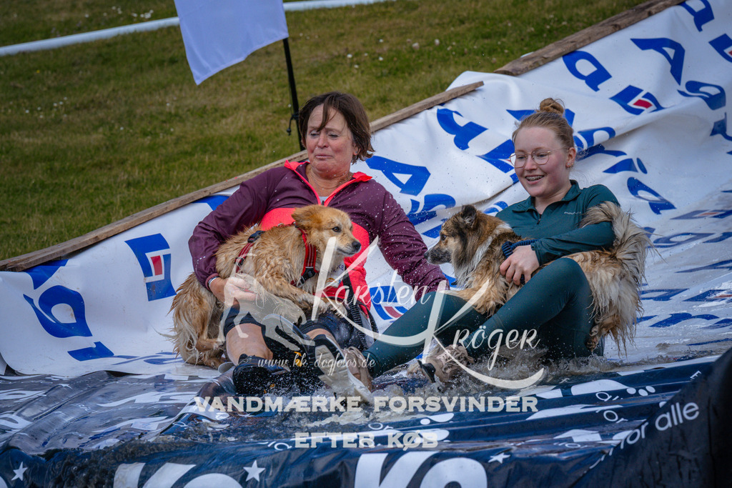 _ZZ948761004 | kk-dogfotos