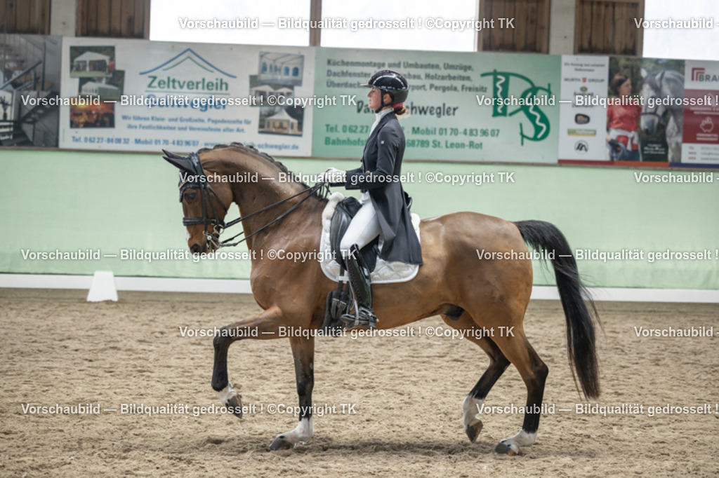 _D5A6251 | Emotionale Pferde- & People-Fotografie rund um Heidelberg, Leimen & Umgebung. Natürliche Fotos von Pferd, Mensch & Familie. Jetzt Termin sichern!