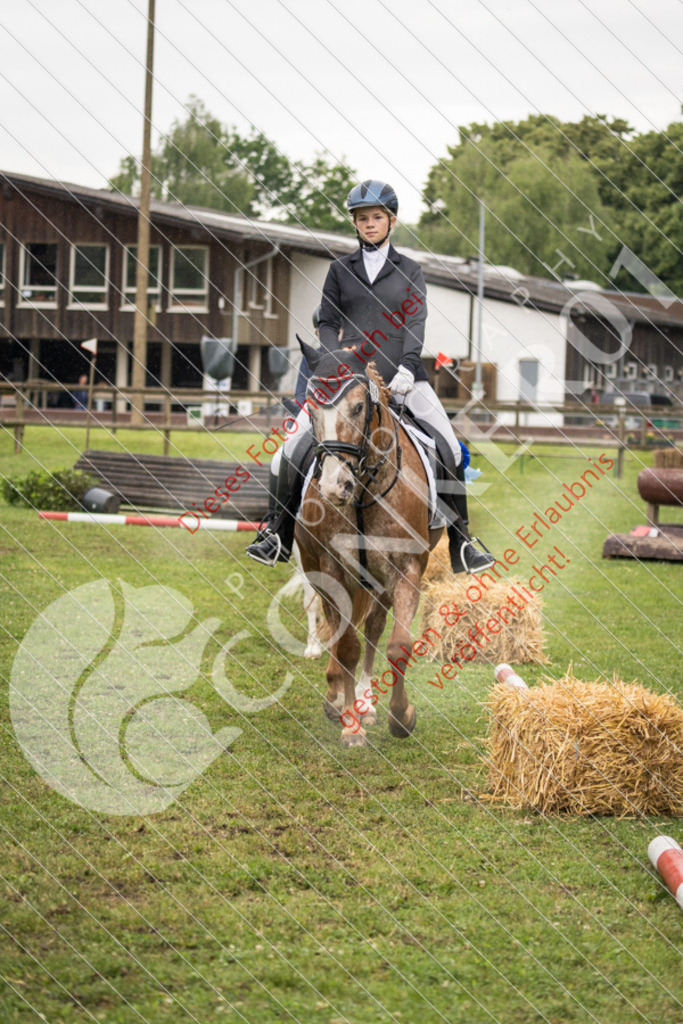IMG_8004 | Sport-, Event- und Tierfotos in Profiqualität. Einfach auswählen, bestellen und herunterladen. Dein Moment – perfekt festgehalten.
