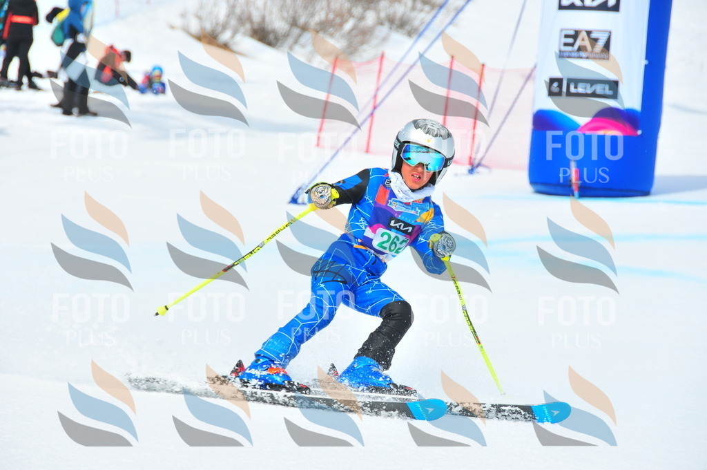 DSC_2448 | holidayphoto