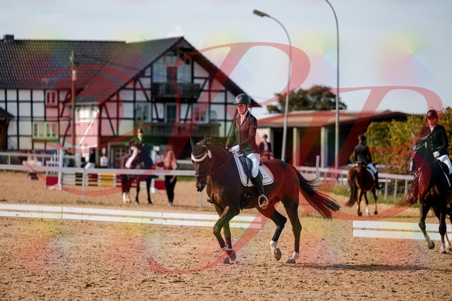 2026_10_03_Siefer-Hof_132313_Z63_84490705 | Professionelle Reitsport-, Turnier- und Eventfotografie von Robert Broda. Galerien mit ausgewählten und bearbeiteten Bildern direkt online ansehen und bestellen.