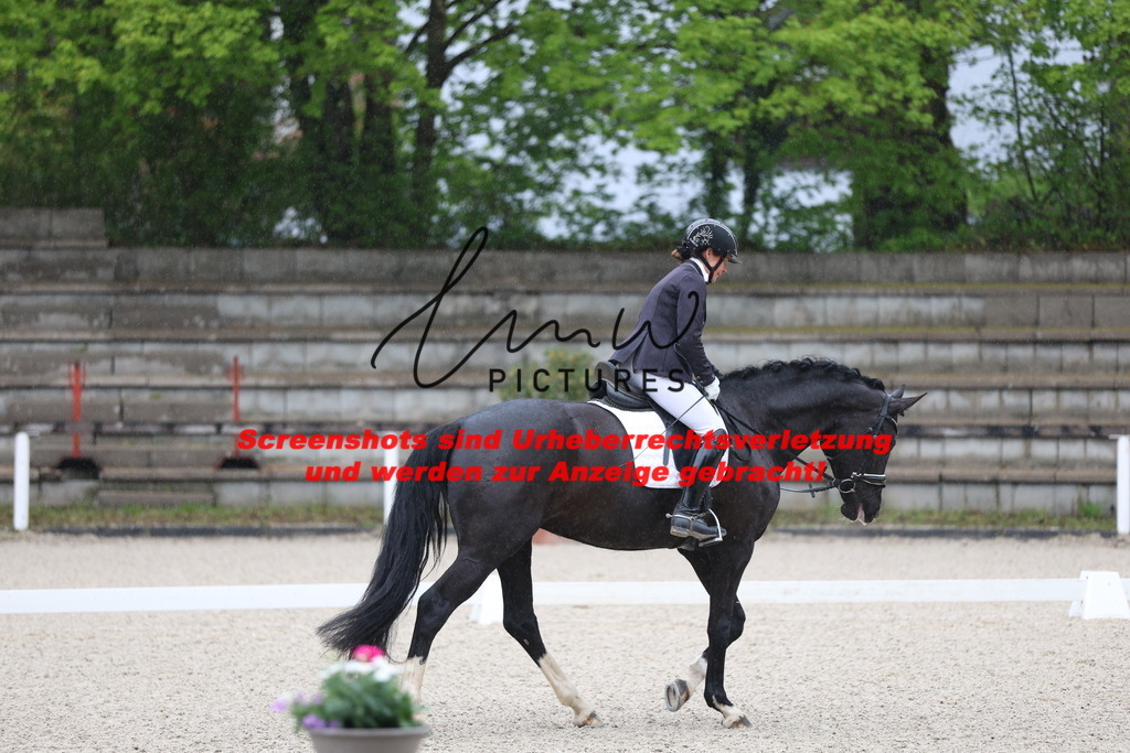 A40A7135 | lmwpictures - Realisiert mit Pictrs.com