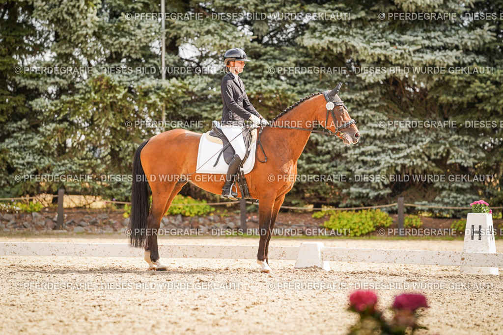 DSC01444 | Pferdegrafie