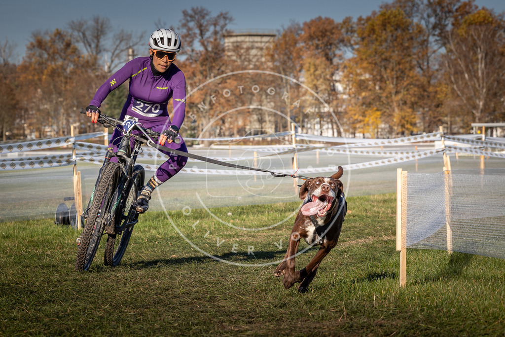 CaniXpix_0L8A5094 | Hundefotografie, Tierfotograf, Pfotenfotografie, Fotoshooting Hund, Hunde Portrait, Hundesport, Hundeportraits, Heideshooting, Hunde, Sportfotograf, Hundefotograf, Turnierhundsport, THS,  - Realisiert mit Pictrs.com