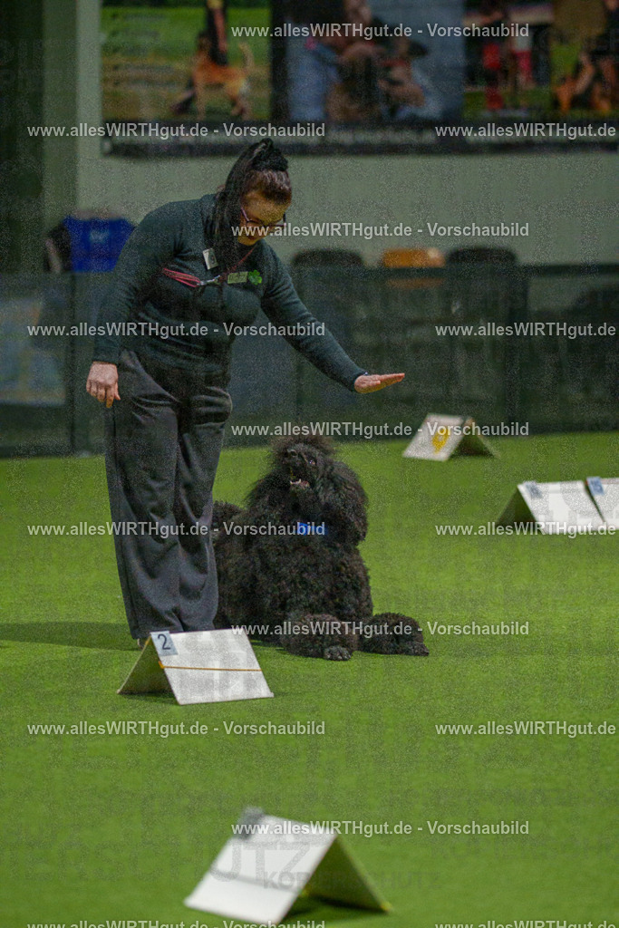 7R508784 | Professionelle Tierfotografie in Mönchengladbach von Daniel Wirth (allesWIRTHgut). Liebevolle & natürliche Bilder von Hunden & Katzen für unvergessliche Erinnerungen.