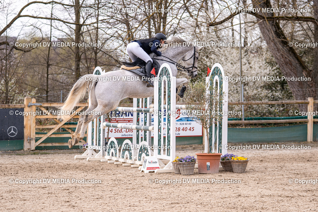 Kranichstein Tag 2-1704 | dv-media-shop - Realisiert mit Pictrs.com